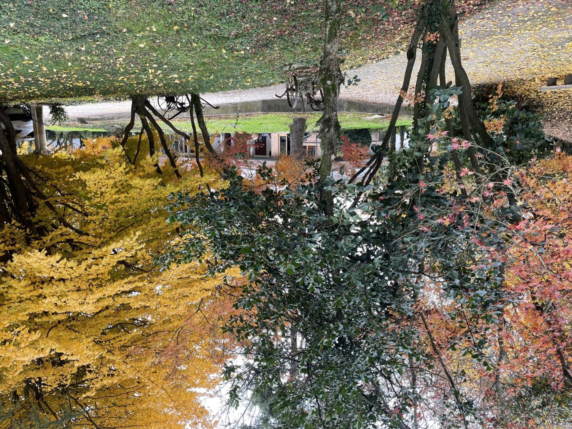 Padova Villetta con ampio parco privato Campodarsego Esterno foto